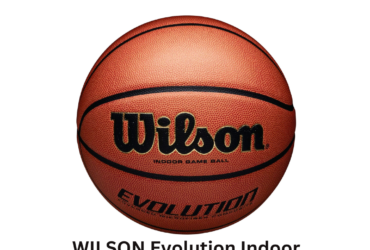 WILSON Evolution Indoor Game Basketball