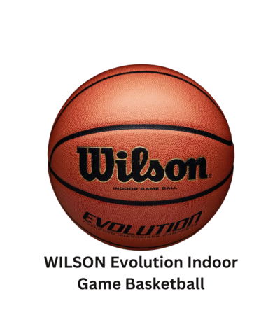WILSON Evolution Indoor Game Basketball