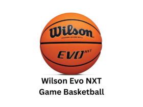 Wilson Evo NXT Game Basketball